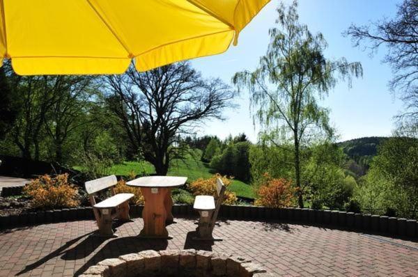 Wohnung In Hohegeiss Mit Grill Und Garten برونلاغ المظهر الخارجي الصورة